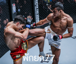 พักยก77